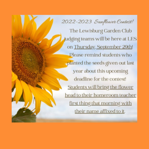 Sunflower Contest