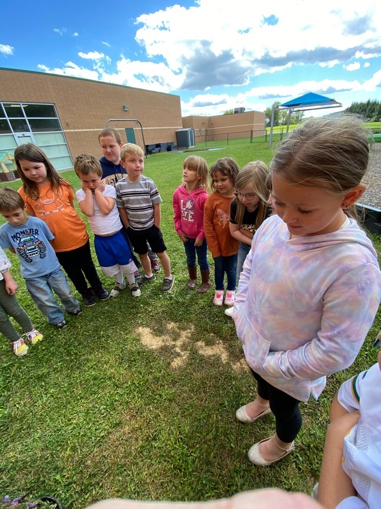 butterfly release